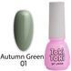 Гель-лак Toki-Toki Autumn Green 01, серо-зеленый, 5 мл