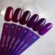 Гель-лак Dark Gel Polish №14 темна фуксія, 6 мл DGP1406 фото 5