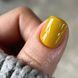 Гель-лак Dark Gel Polish №38 светлая охра, 6 мл DGP3806 фото 4