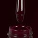 Гель-лак Dark Gel Polish №80 темно-бордовый, 10 мл DGP8010 фото 2