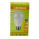 Лампа світлодіодна LED BULB NLED фото