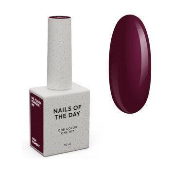 Гель-лак NAILS OF THE DAY Let&rsquo;s Special Monique темно&ndash;сливовий, 10 мл NDGP011 фото