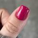 Гель-лак Dark Gel Polish №45 малиновий, 6 мл DGP4506 фото 4