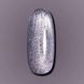 Гель-лак котяче око Dark Gel Polish Cat Eye №01 срібний напівпрозорий світловідбиваючий, 10 мл DCATEYE0110 фото 2