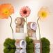 Гель із сухоцвітами VALERI Builder Gel Flower 06, світло-зелений, 15 мл BGVALF06 фото 6