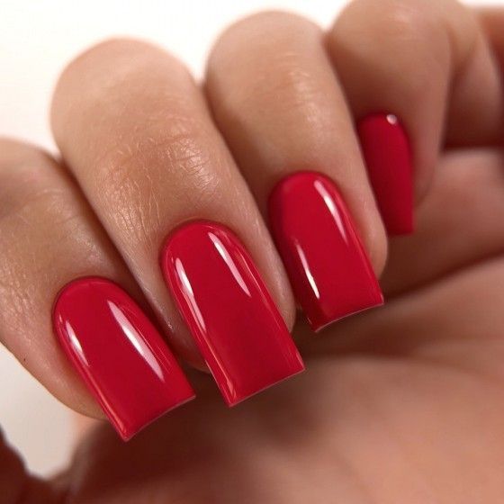 Гель-лак Dark Gel Polish №183 ягідний червоний, 6 мл DGP61836 фото