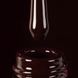 Гель-лак Dark Gel Polish №160 баклажановый, 6 мл DGP16006 фото 2