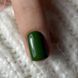 Гель-лак Dark Gel Polish №35 хакі, 10 мл DGP35010 фото 4